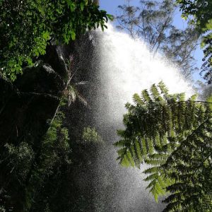 waterfall-springbrook-10.jpg